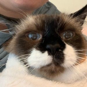 Meet your Posher, Aaron